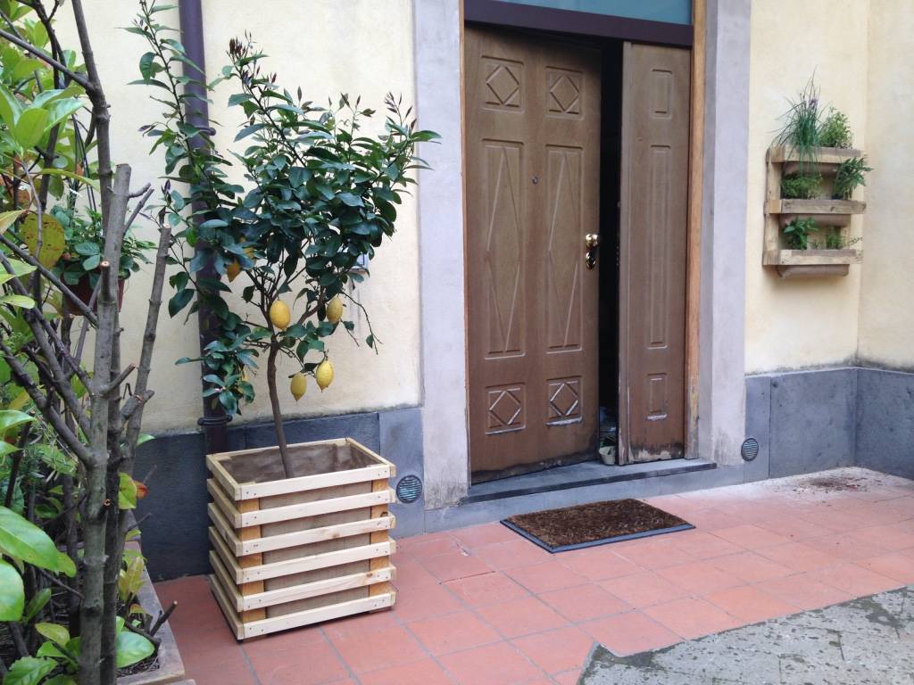 cortile limoni