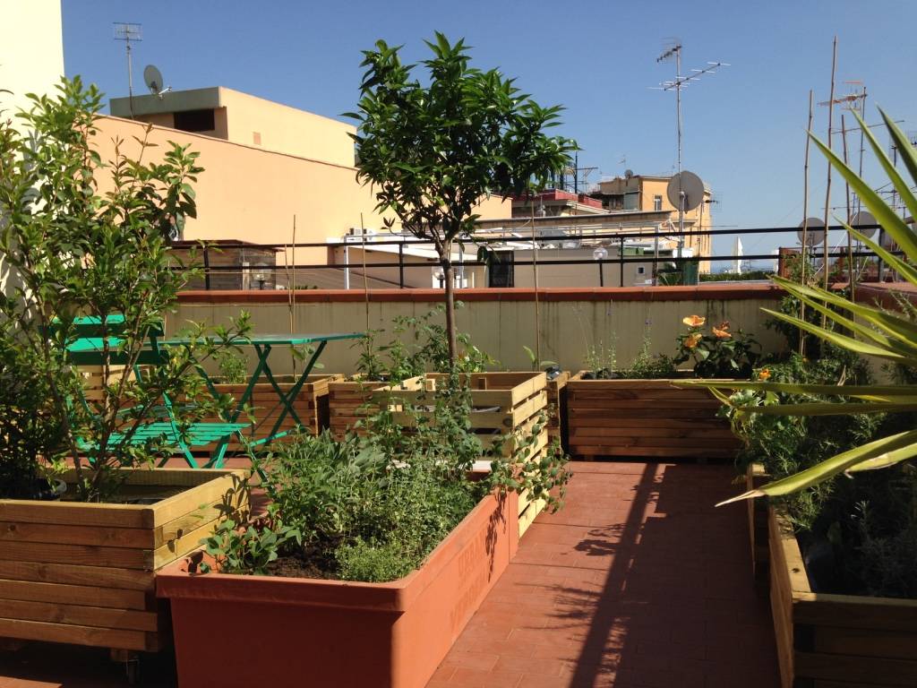 Orto urbano su terrazzo con agrumi e melograno. Un progetto di Guido Picardi, architetto del paesaggio