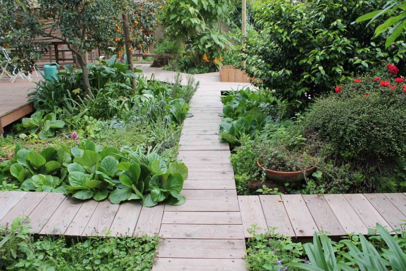 sentiero-di-legno-Guido-Picardi