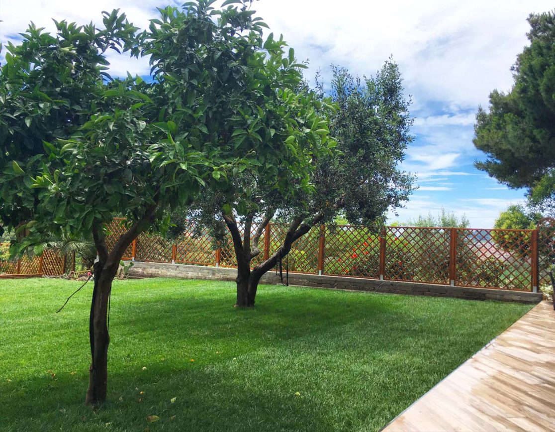 Giardino con prato a Napoli. Guido Picardi, architetto del paesaggio.