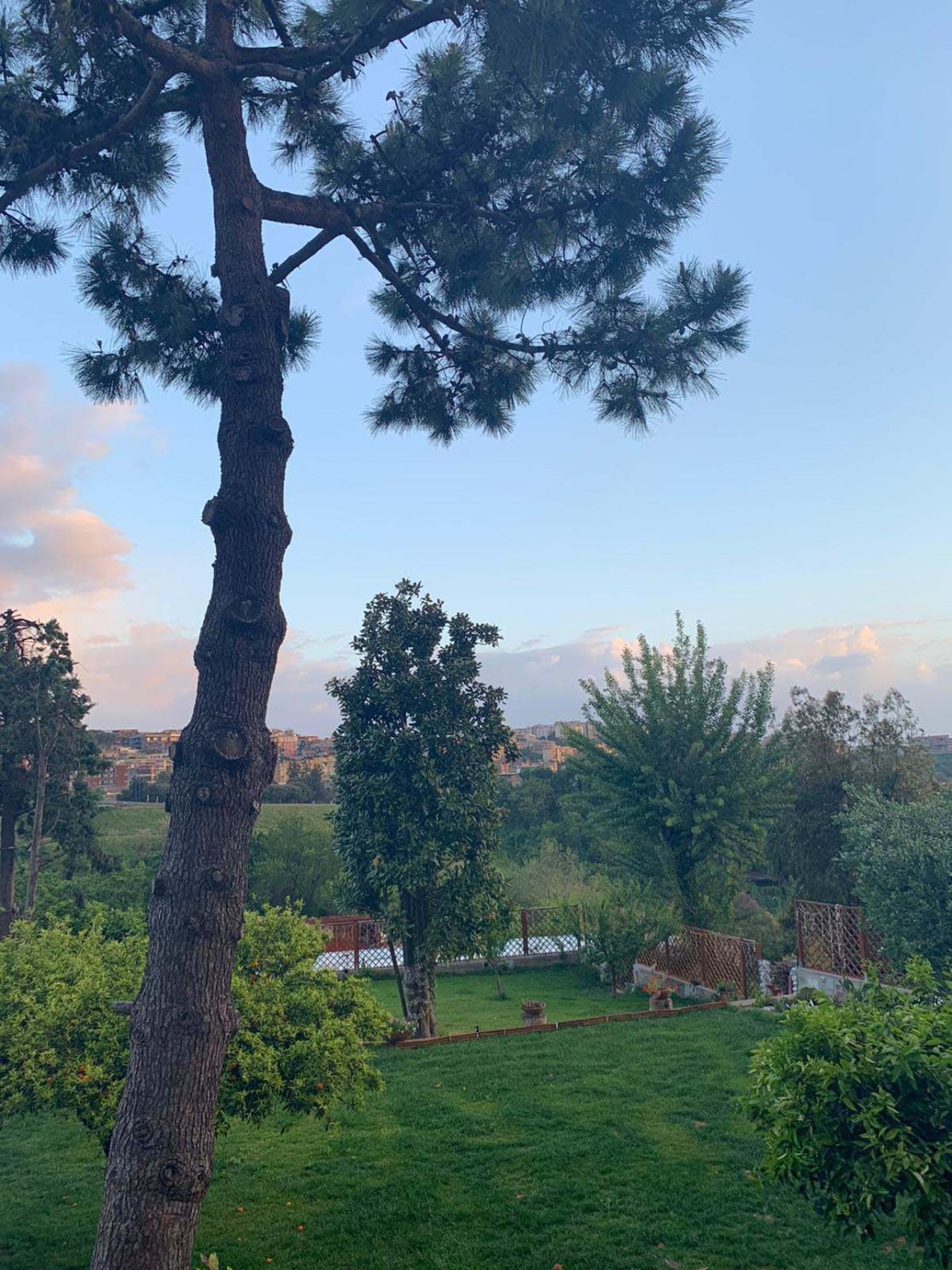 Giardino con prato a Napoli. Guido Picardi, architetto del paesaggio.