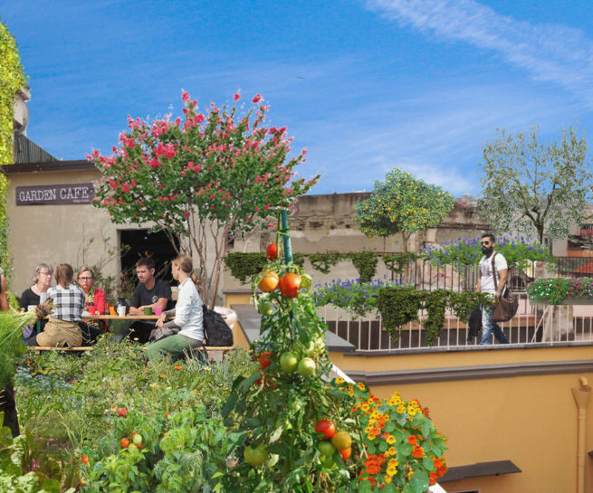 Orto sul tetto a Napoli di Guido Picardi - architetto del paesaggio