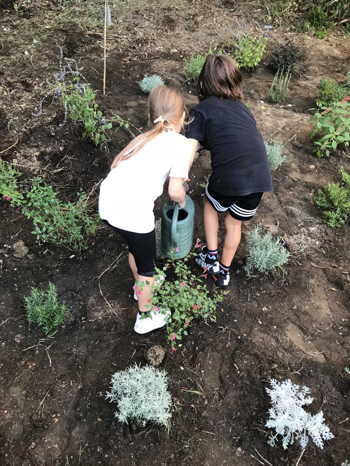 bambini e giardinaggio