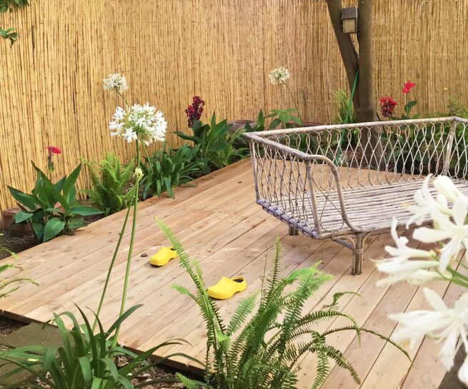 Giardino fiorito di agapanthus a Napoli. Guido Picardi - Architetto del paesaggio