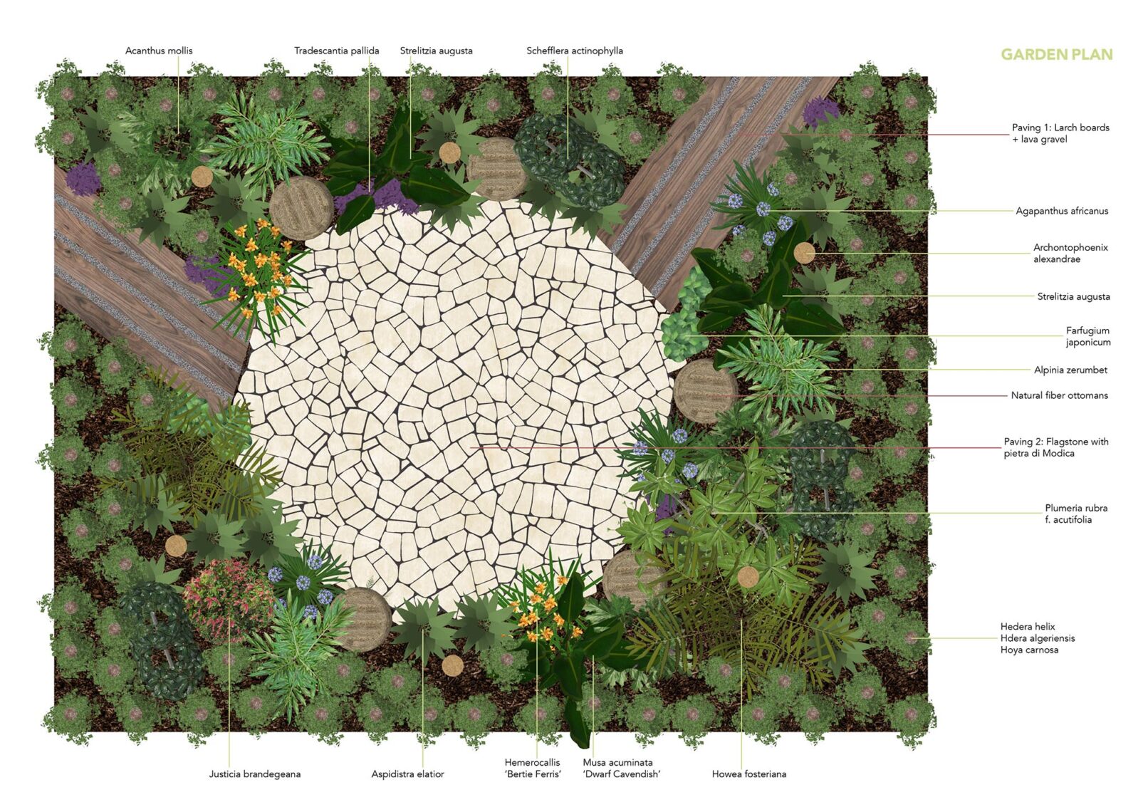 Radicepura_pianta_giardino