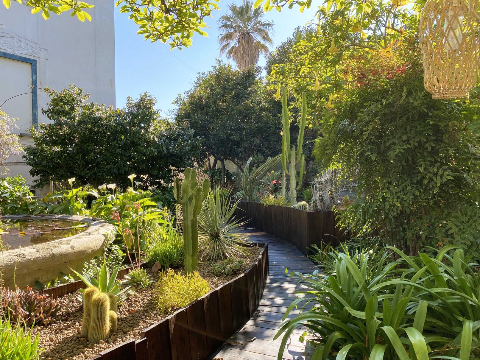 Giardino-esotico-a-Napoli