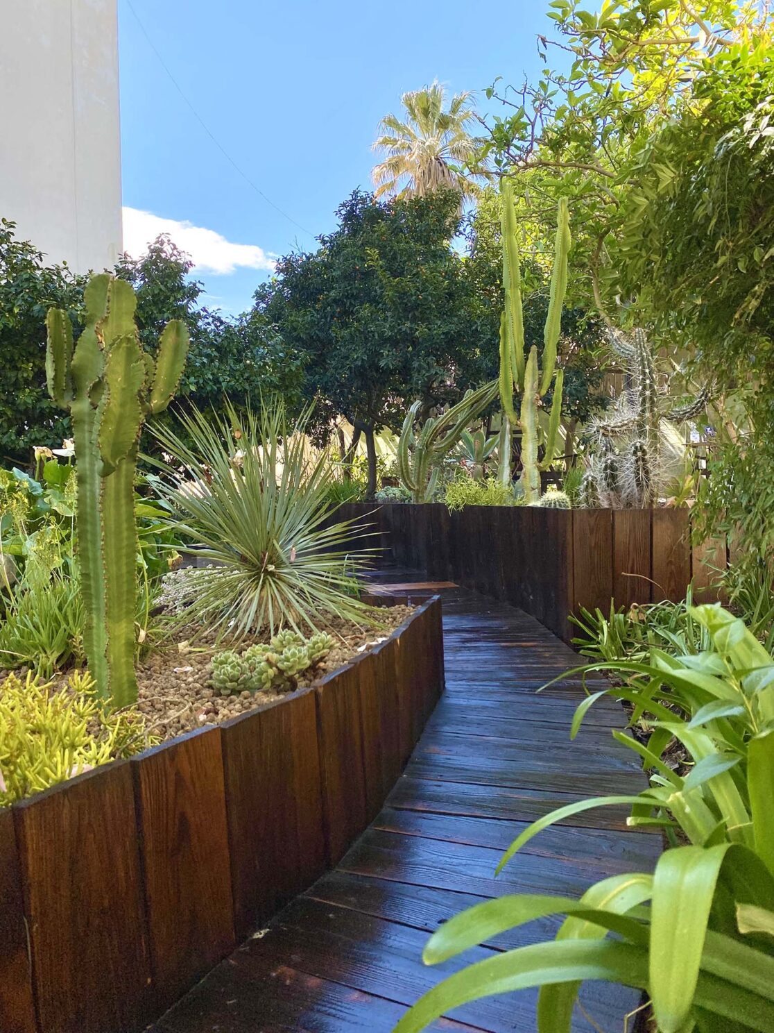 Giardino-di-euforbie-a-Napoli