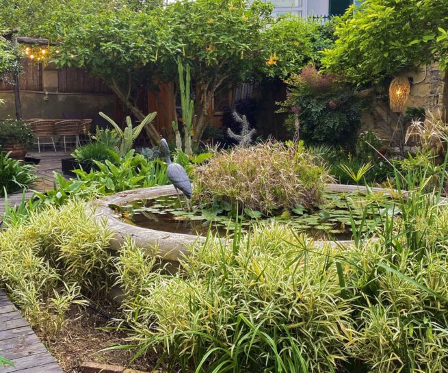 Giardino-esotico-con-fontana-a-Napoli