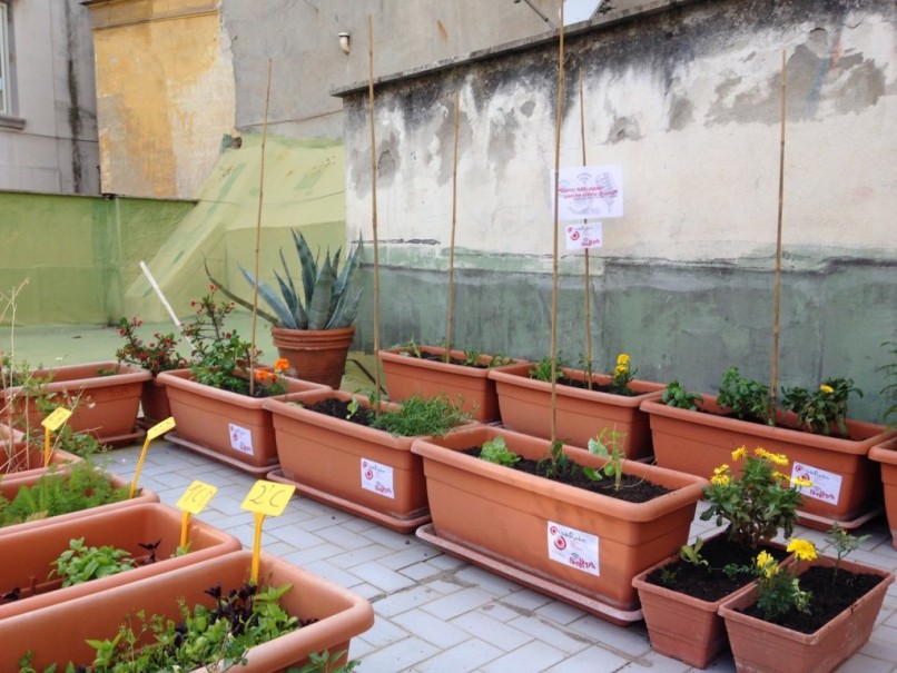 orto a scuola con Save the Children. Guido Picardi, architetto del paesaggio