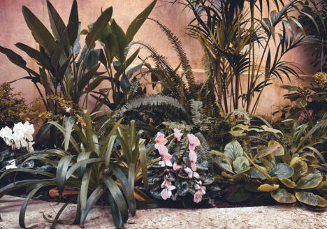 Giardino tropicale a Napoli