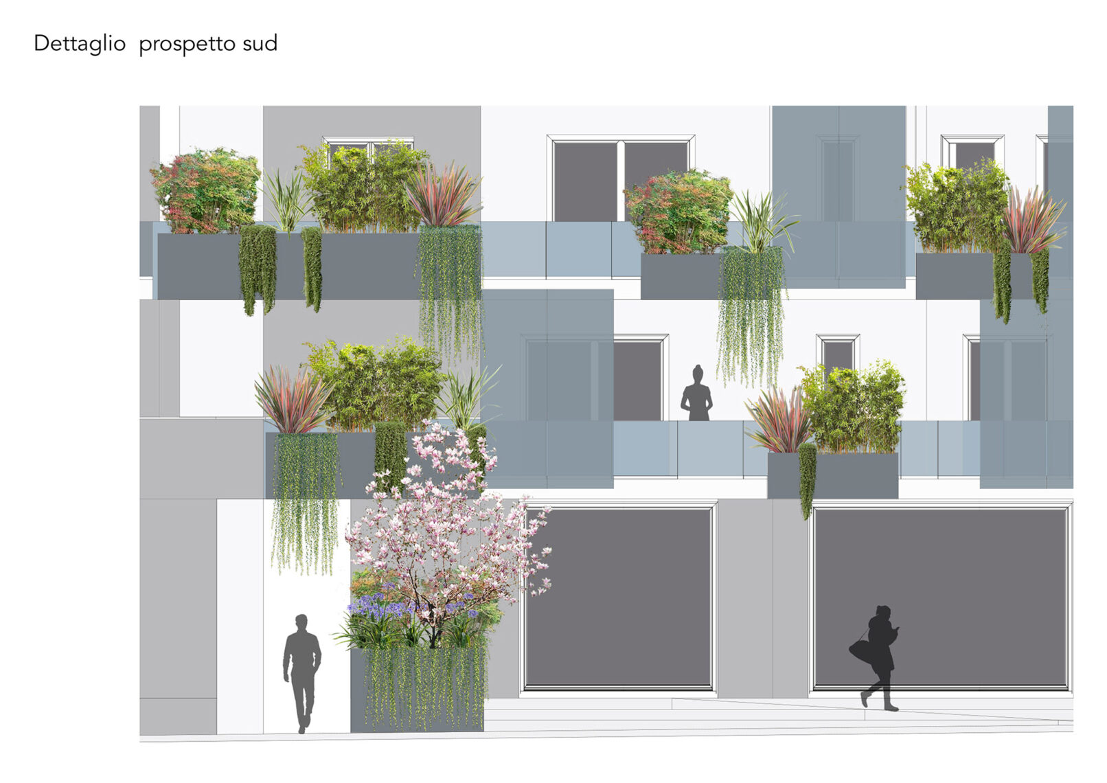 Piante-facciata-edificio