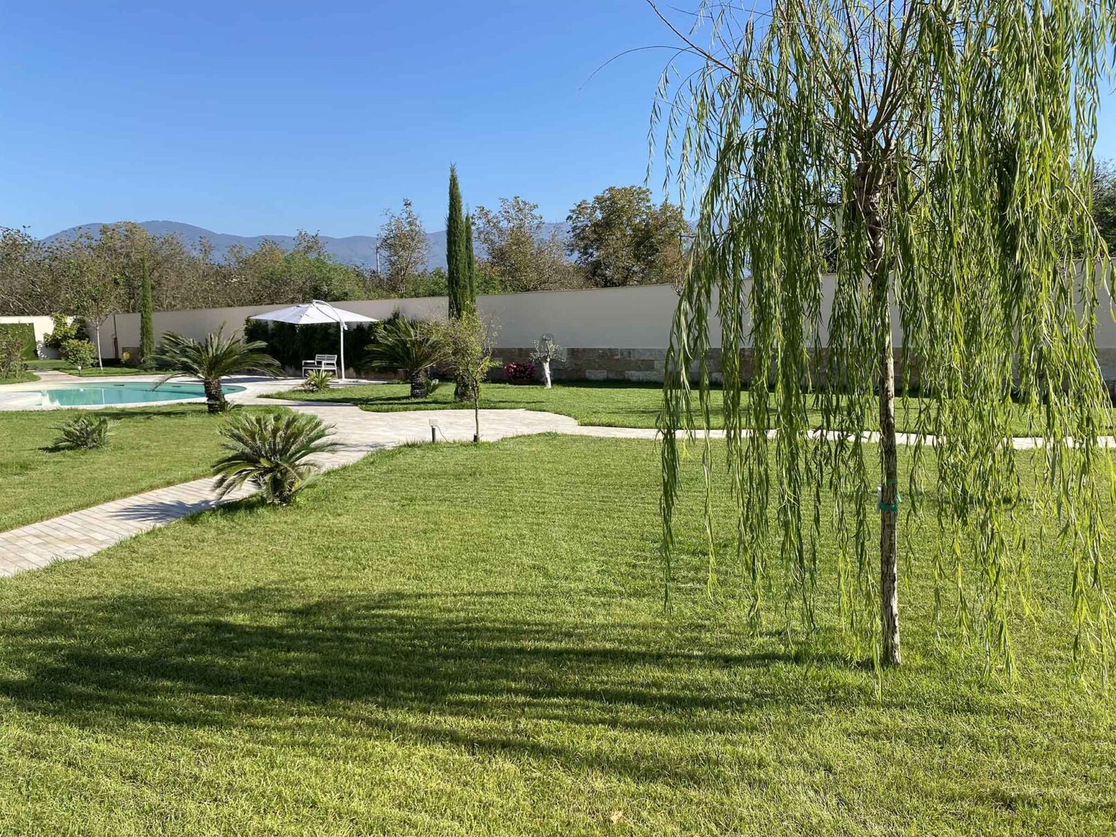 Giardino_con_salice