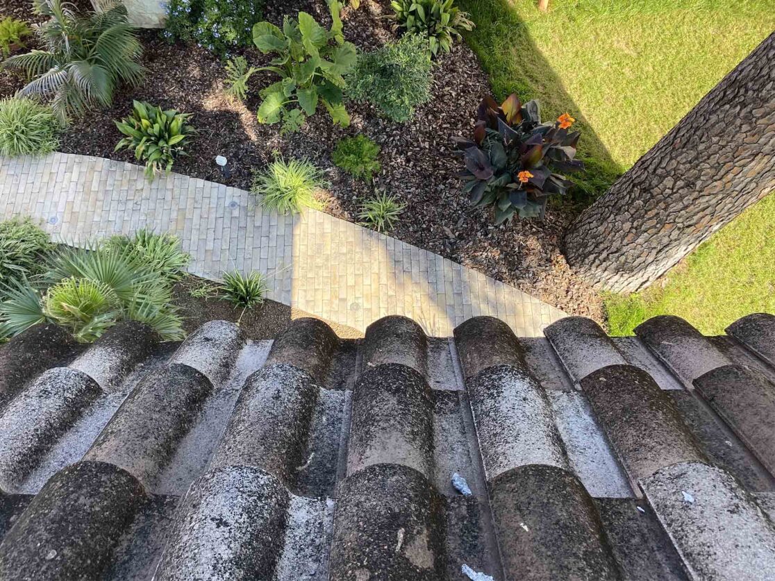 Giardino_tropicale